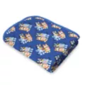 Bluey and Bingo Fleece Blanket at Spencer's