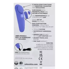 Panty Teaser Vibrator at Spencer's