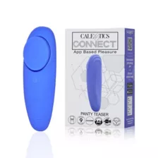 Panty Teaser Vibrator at Spencer's