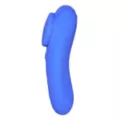 Panty Teaser Vibrator at Spencer's