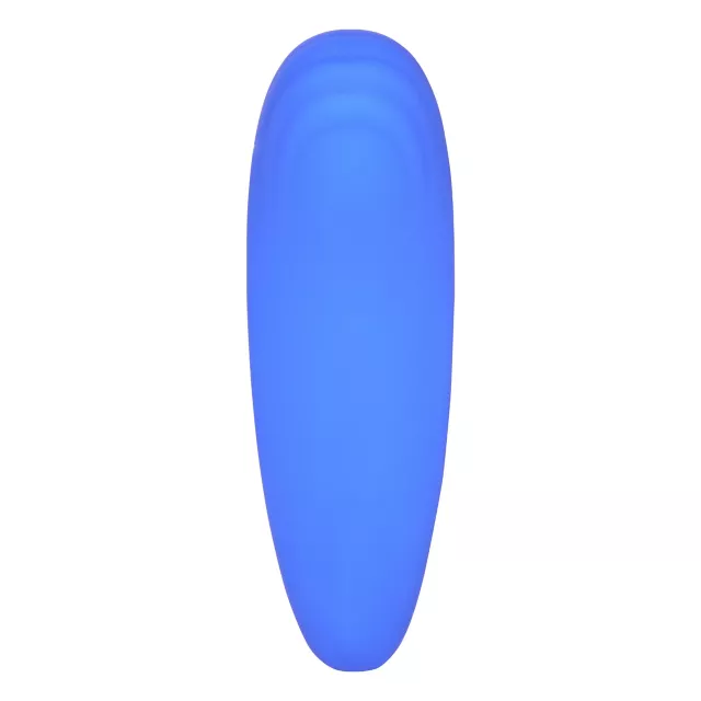 Panty Teaser Vibrator at Spencer's
