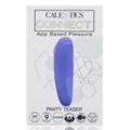 Panty Teaser Vibrator at Spencer's