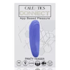 Panty Teaser Vibrator at Spencer's