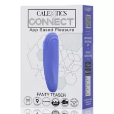 Panty Teaser Vibrator at Spencer's