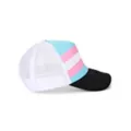 Transgender Pride Flag Snapback Hat at Spencer's