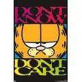 Garfield Don't Care Poster at Spencer's