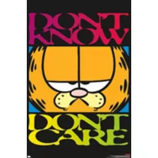 Garfield Don't Care Poster at Spencer's