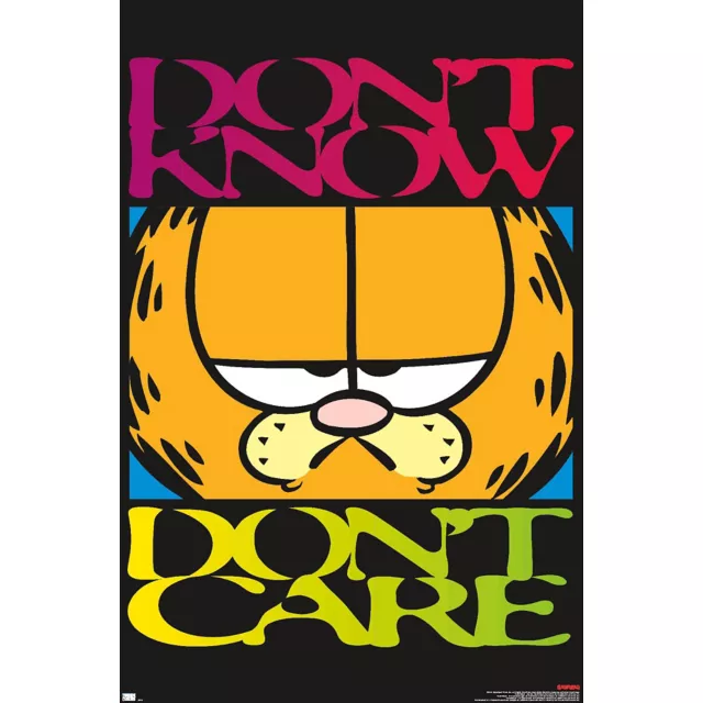 Garfield Don't Care Poster at Spencer's
