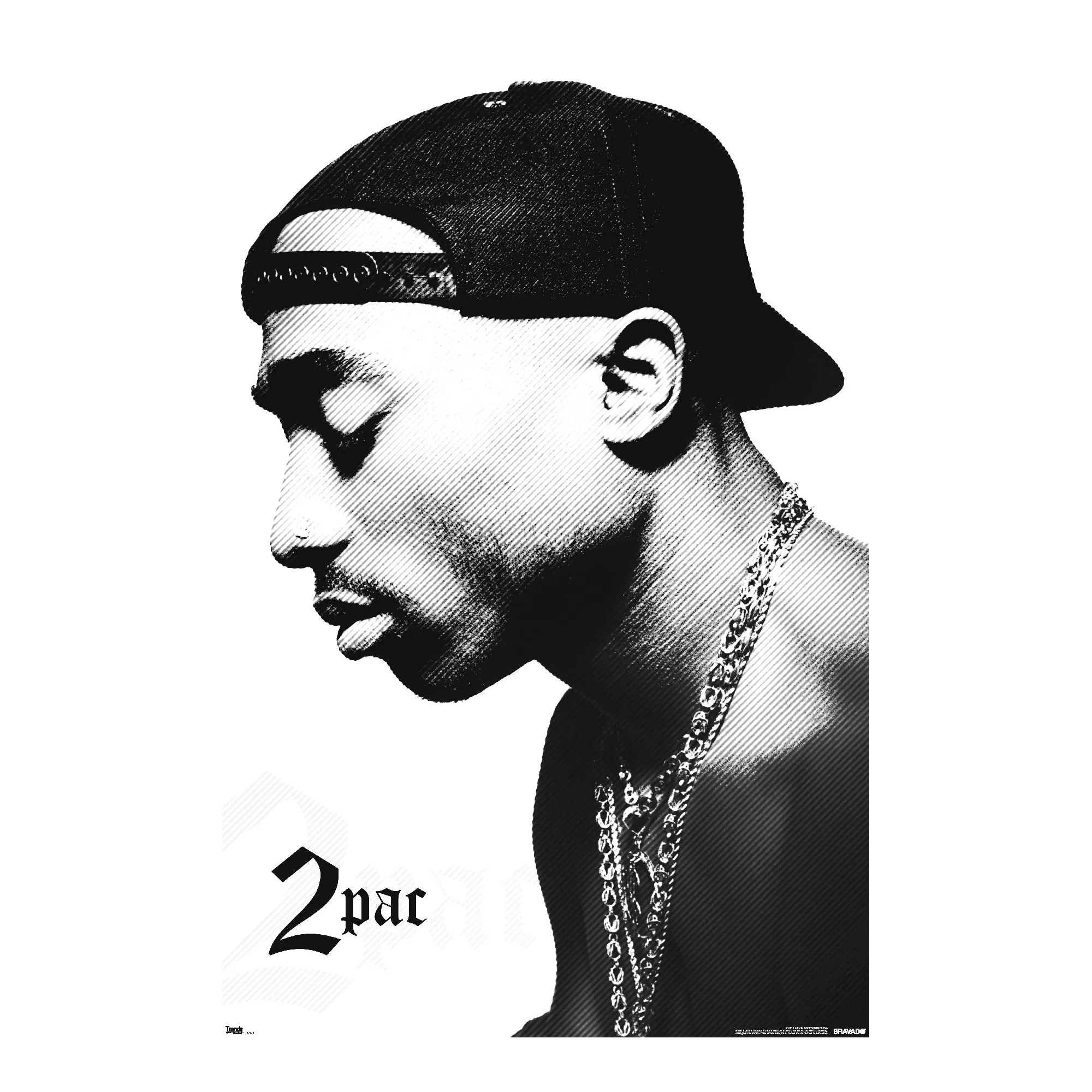 2Pac Profile Poster at Spencer's