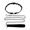 Heart Collar with Leash - Pleasure Bound at Spencer's