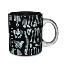 Anatomy Skeleton Glass Coffee Mug at Spencer's