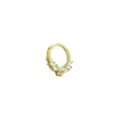 CZ Goldplated Butterfly Clicker Septum Ring - 16 Gauge at Spencer's