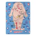 Operation Board Fleece Blanket at Spencer's
