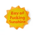 Ray of Fucking Sunshine Pillow at Spencer's