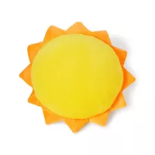 Ray of Fucking Sunshine Pillow at Spencer's