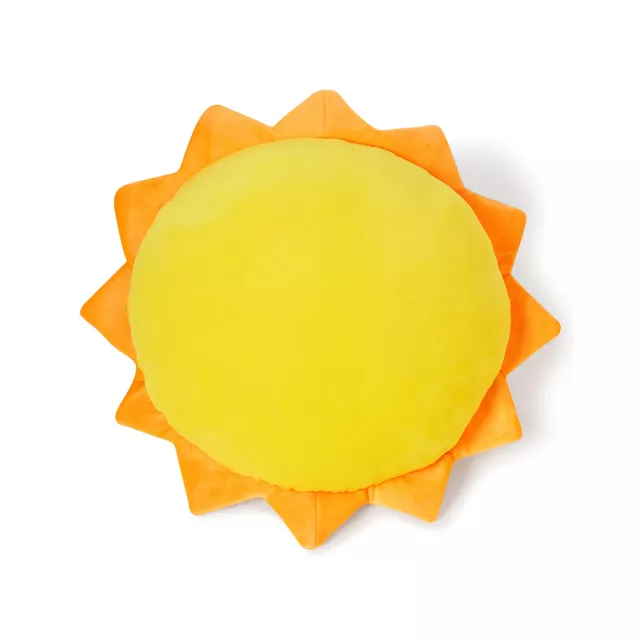 Ray of Fucking Sunshine Pillow at Spencer's