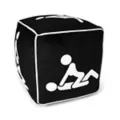 Sex Positions Cube Pillow at Spencer's