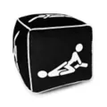 Sex Positions Cube Pillow at Spencer's