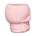 Pink Molded Skull Shot Glass - 2 oz. at Spencer's