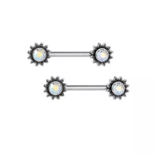 Titanium Sun Nipple Barbells - 14 Gauge at Spencer's