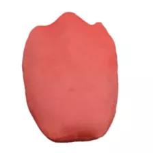 Lilo & Stitch Surfer Dude Travel Cloud Pillow at Spencer's