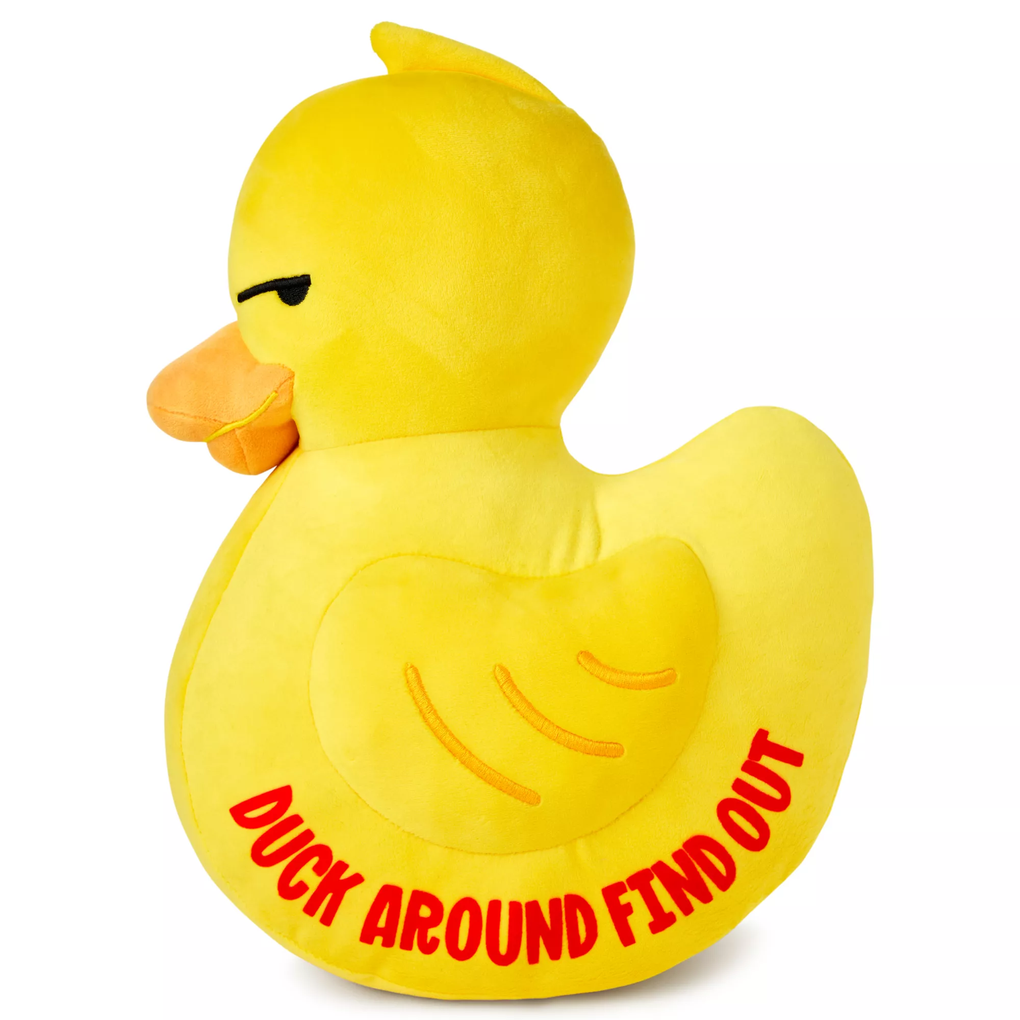 Duck Around Find Out Plush at Spencer's