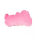 Pink Slut Pillow at Spencer's