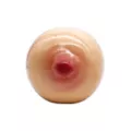 Molded Boob Tray at Spencer's