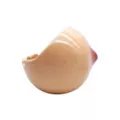 Molded Boob Tray at Spencer's