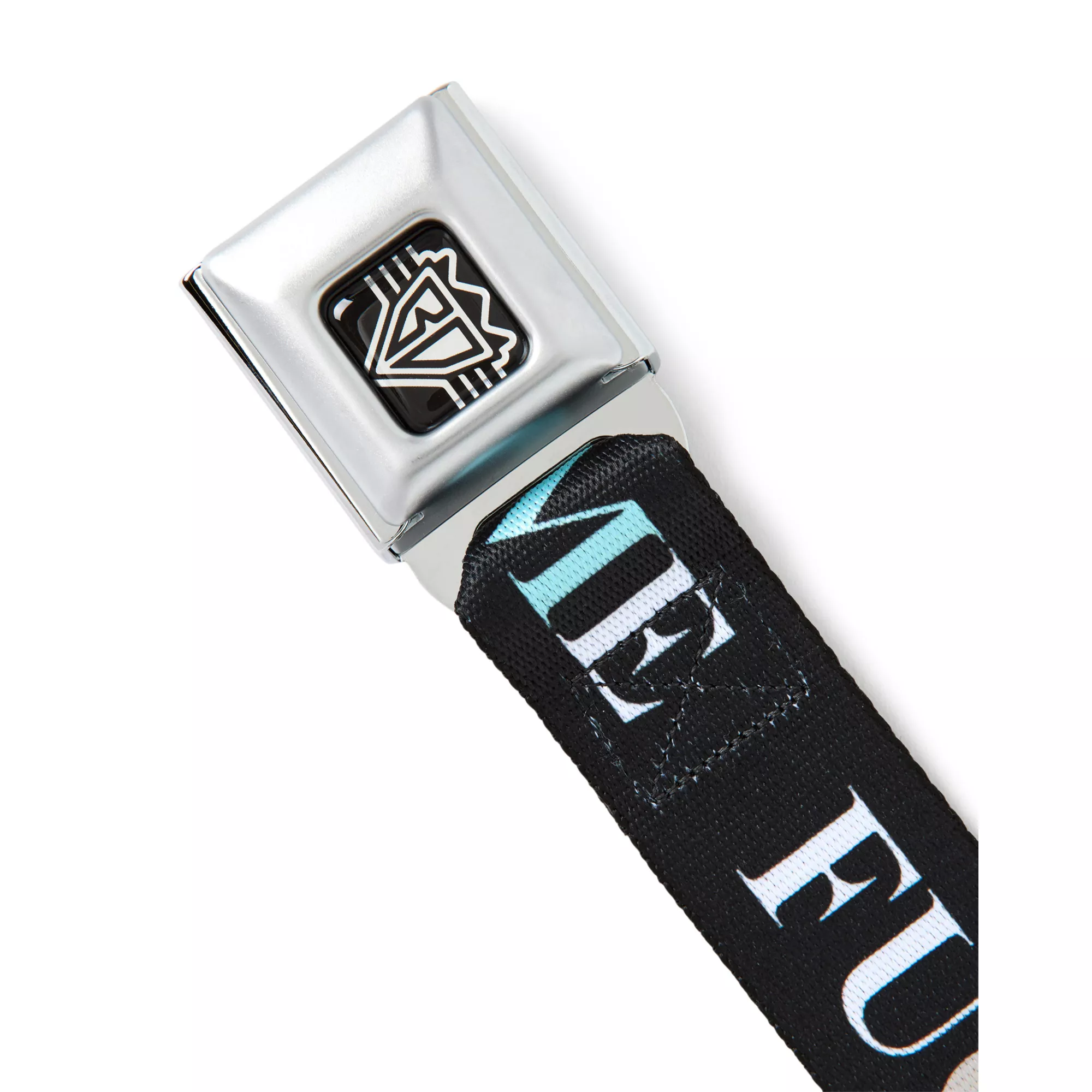 Buckle-Down Fuck Me Fuck You Seatbelt Belt at Spencer's