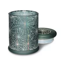 Gray Spider Web Stash Jar - 8 oz. at Spencer's