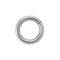 Silver Titanium Basic Hinged Septum Ring- 10 Gauge at Spencer's