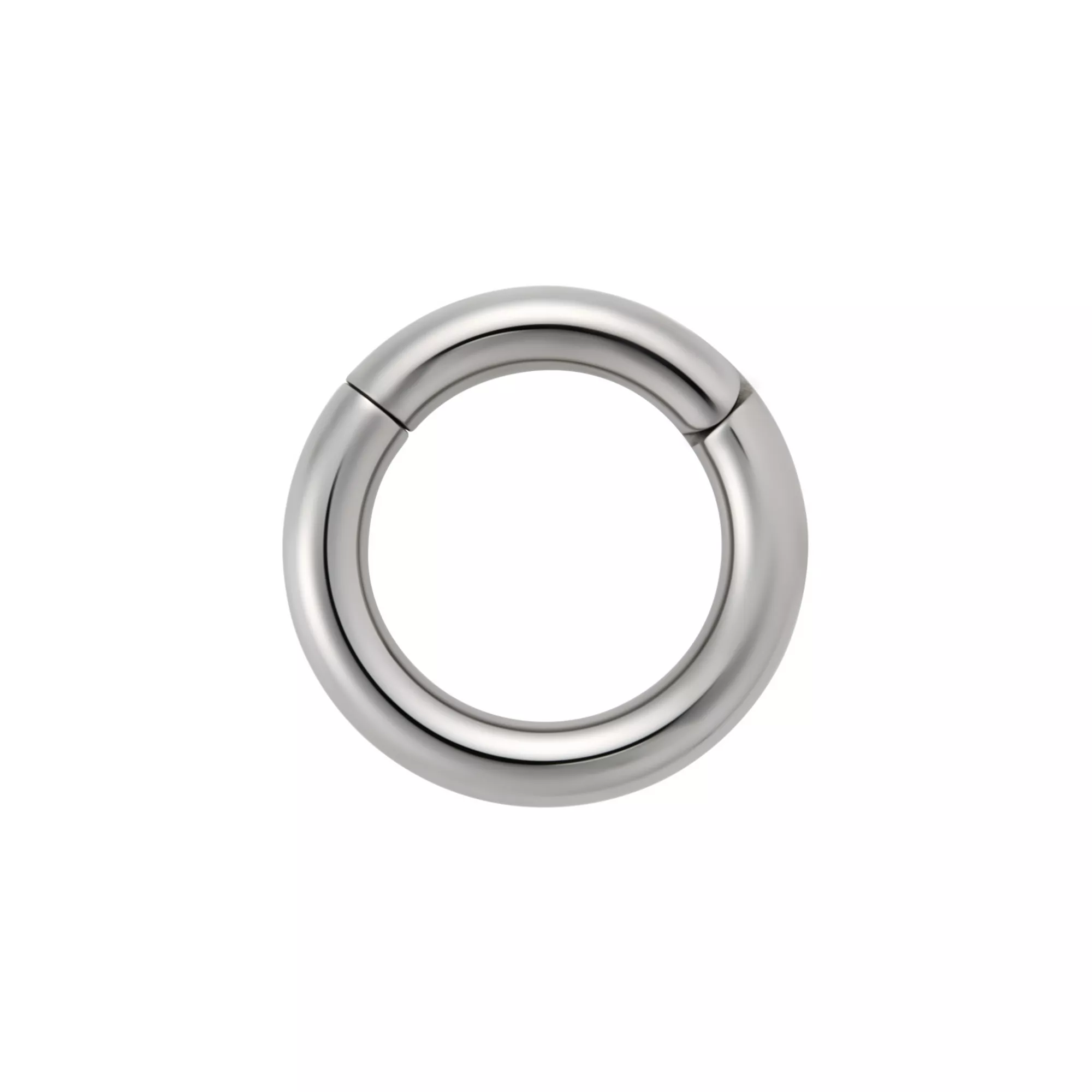Silver Titanium Basic Hinged Septum Ring- 10 Gauge at Spencer's