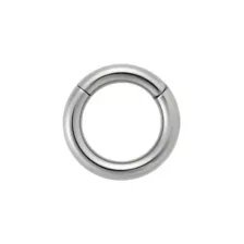 Silver Titanium Basic Hinged Septum Ring- 10 Gauge at Spencer's