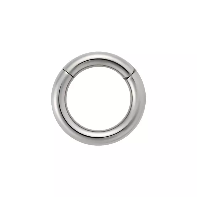 Silver Titanium Basic Hinged Septum Ring- 10 Gauge at Spencer's