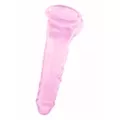 Bubble Gum Suction Cup Dildo with Balls 9 Inch – good D at Spencer's