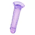 Violet Vixen Suction Cup Dildo 6 Inch – good D at Spencer's