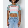 Transgender Pride Mesh Crop Top at Spencer's