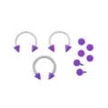 Kayla Malecc Multi-Pack Titanium Horseshoe Rings with Purple Ends and Extra Balls 3 Pack - 20-16 Gauge at Spencer's