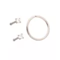 Multi-Pack ASTM F-136 Titanium Prong CZ Nose Pins and Hoop 3 Pack - 20 Gauge at Spencer's