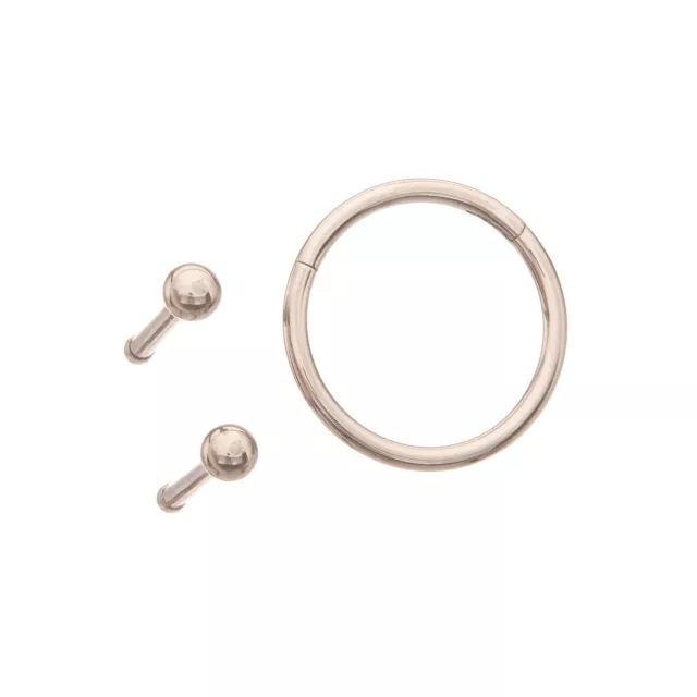 Multi-Pack Silvertone Bone Nose Rings and Hinged Hoop Nose Ring 3 Pack - 20 Gauge at Spencer's