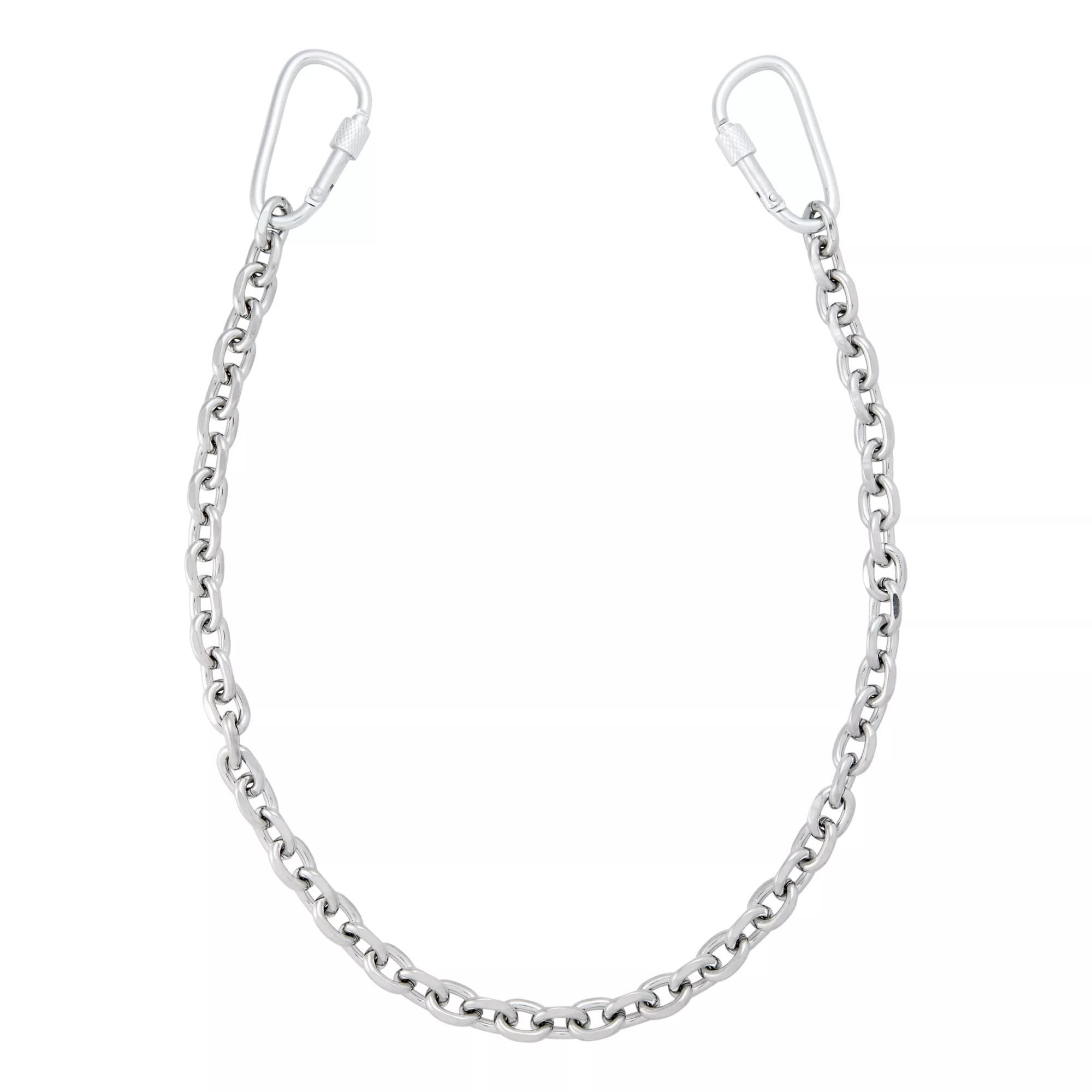 Carabiner Wallet Chain at Spencer's