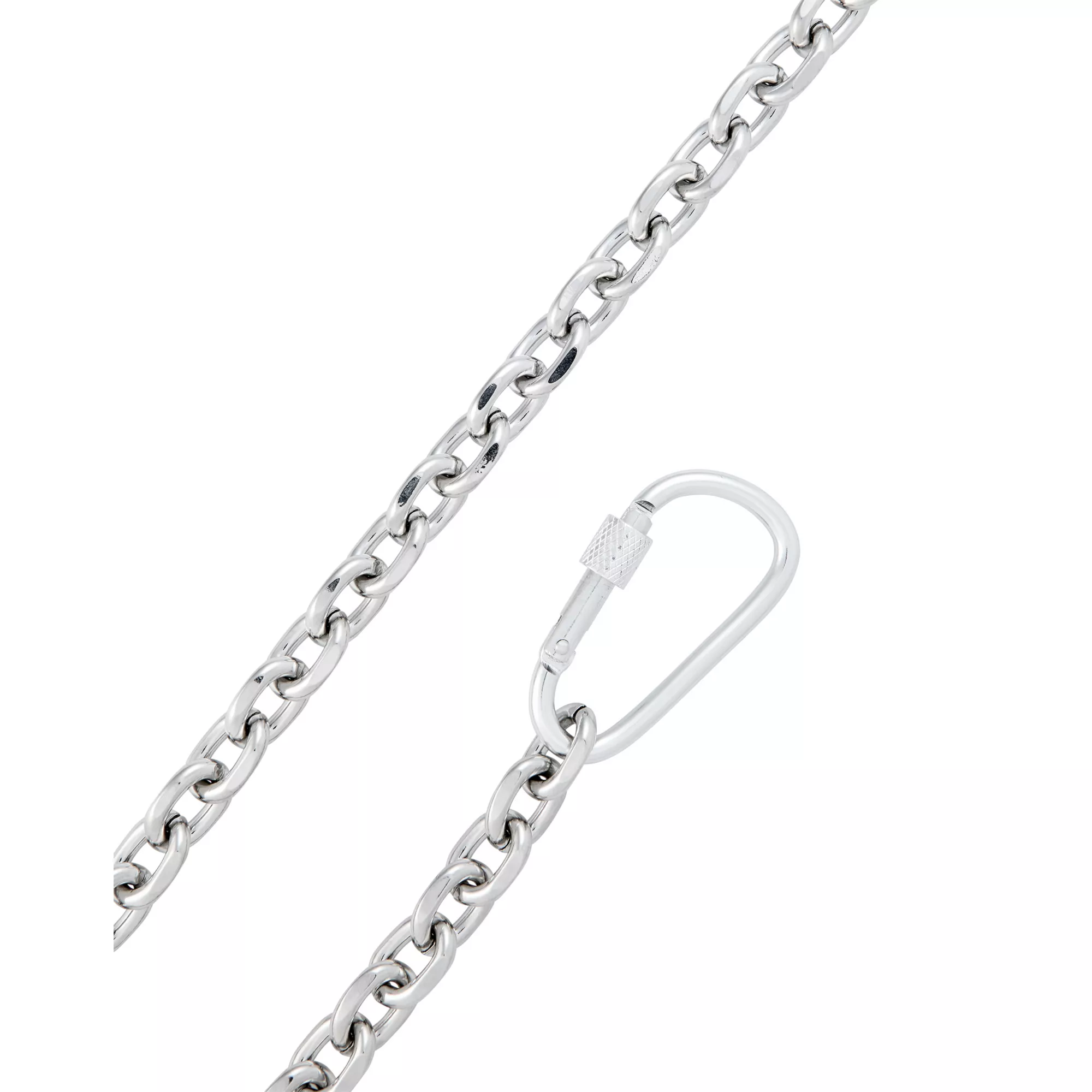 Carabiner Wallet Chain at Spencer's