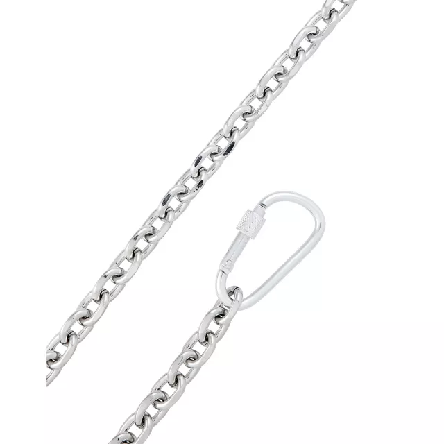 Carabiner Wallet Chain at Spencer's