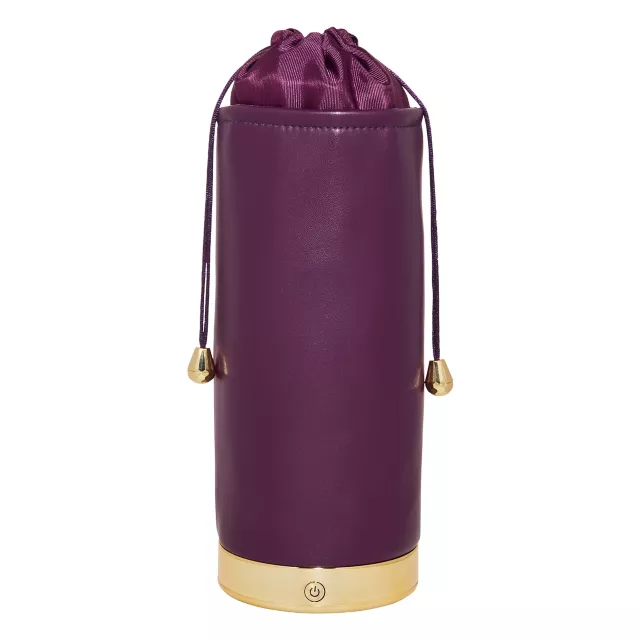 UV Light Sanitizing Bag at Spencer's