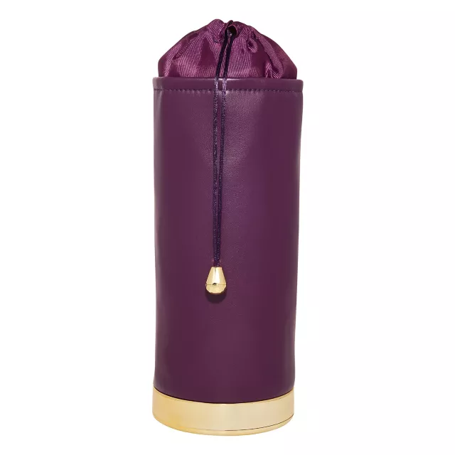 UV Light Sanitizing Bag at Spencer's