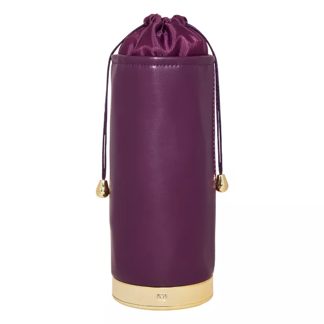 UV Light Sanitizing Bag at Spencer's