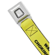 Buckle-Down Choking Hazard Seatbelt Belt at Spencer's