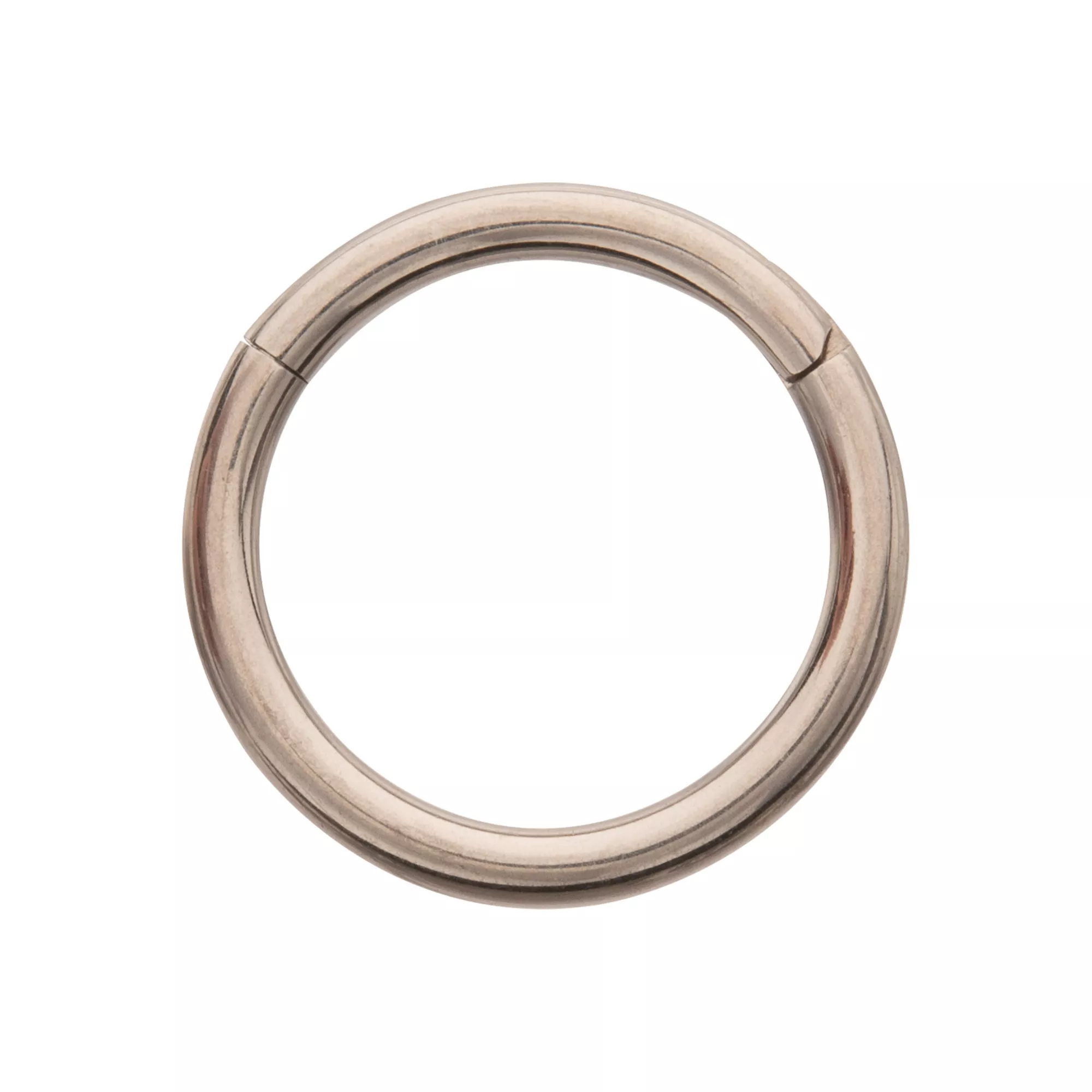 ASTM F-136 Titanium Hinged Septum Ring - 16 Gauge at Spencer's