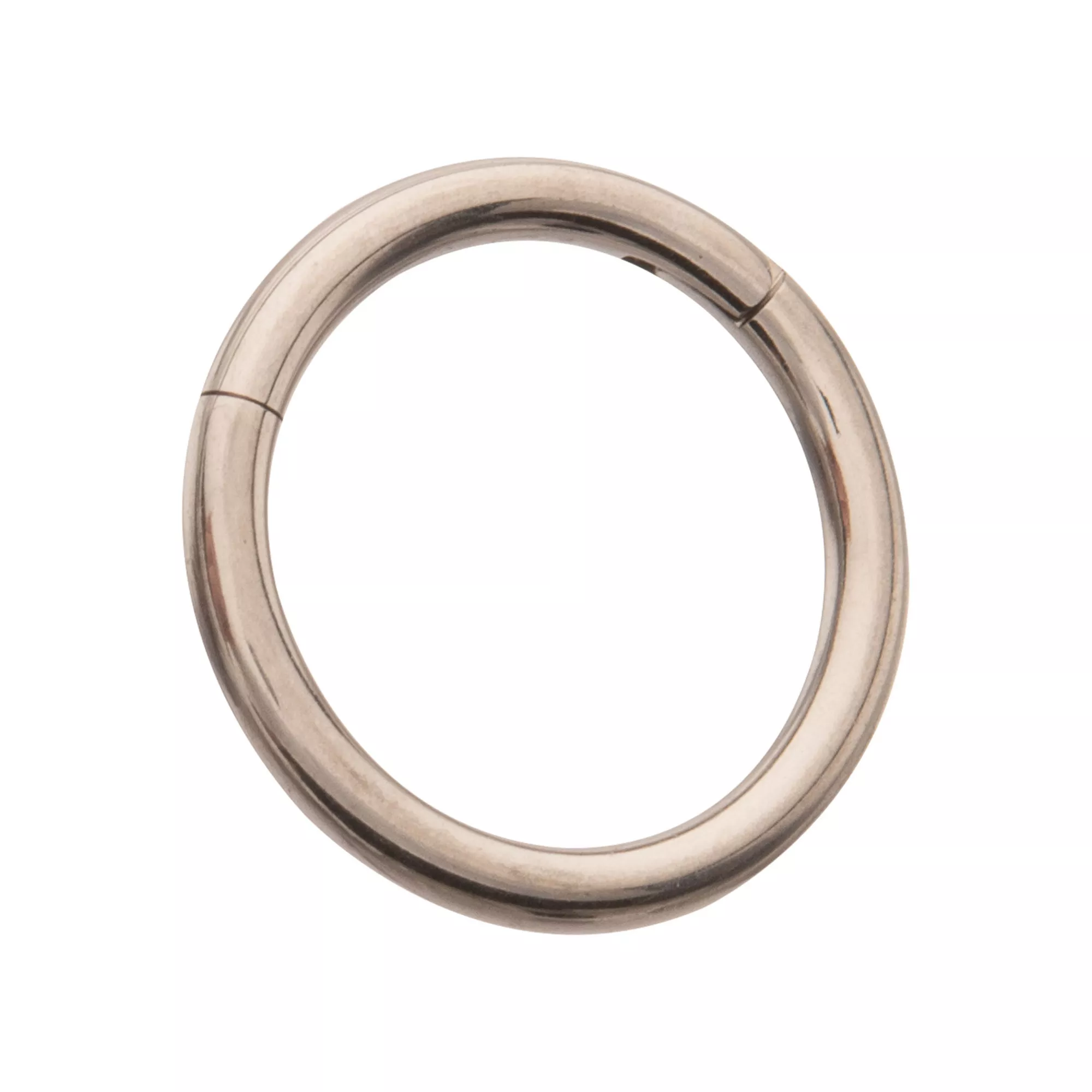 ASTM F-136 Titanium Hinged Septum Ring - 16 Gauge at Spencer's
